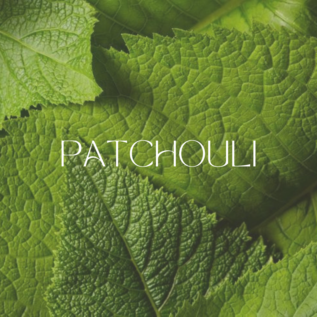 Close-up image of fresh green patchouli leaves with bold “PATCHOULI” text overlay, symbolizing the natural origin and aromatic essence of patchouli used in perfumes.