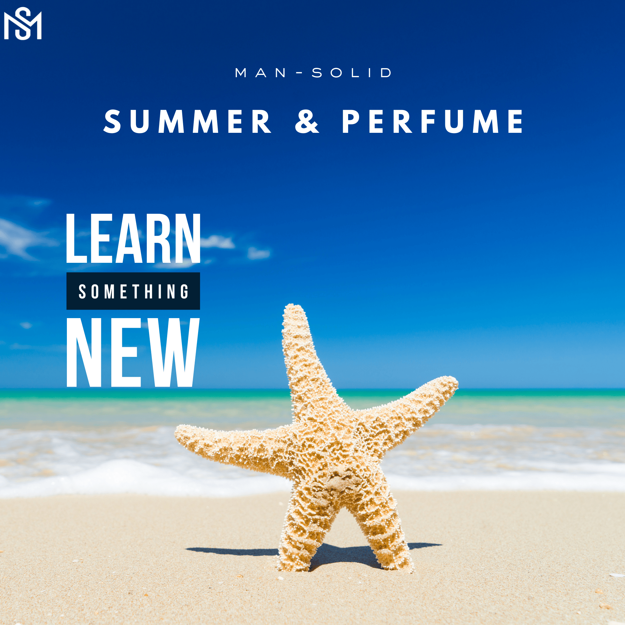 starfish with arms open and text written learn something new