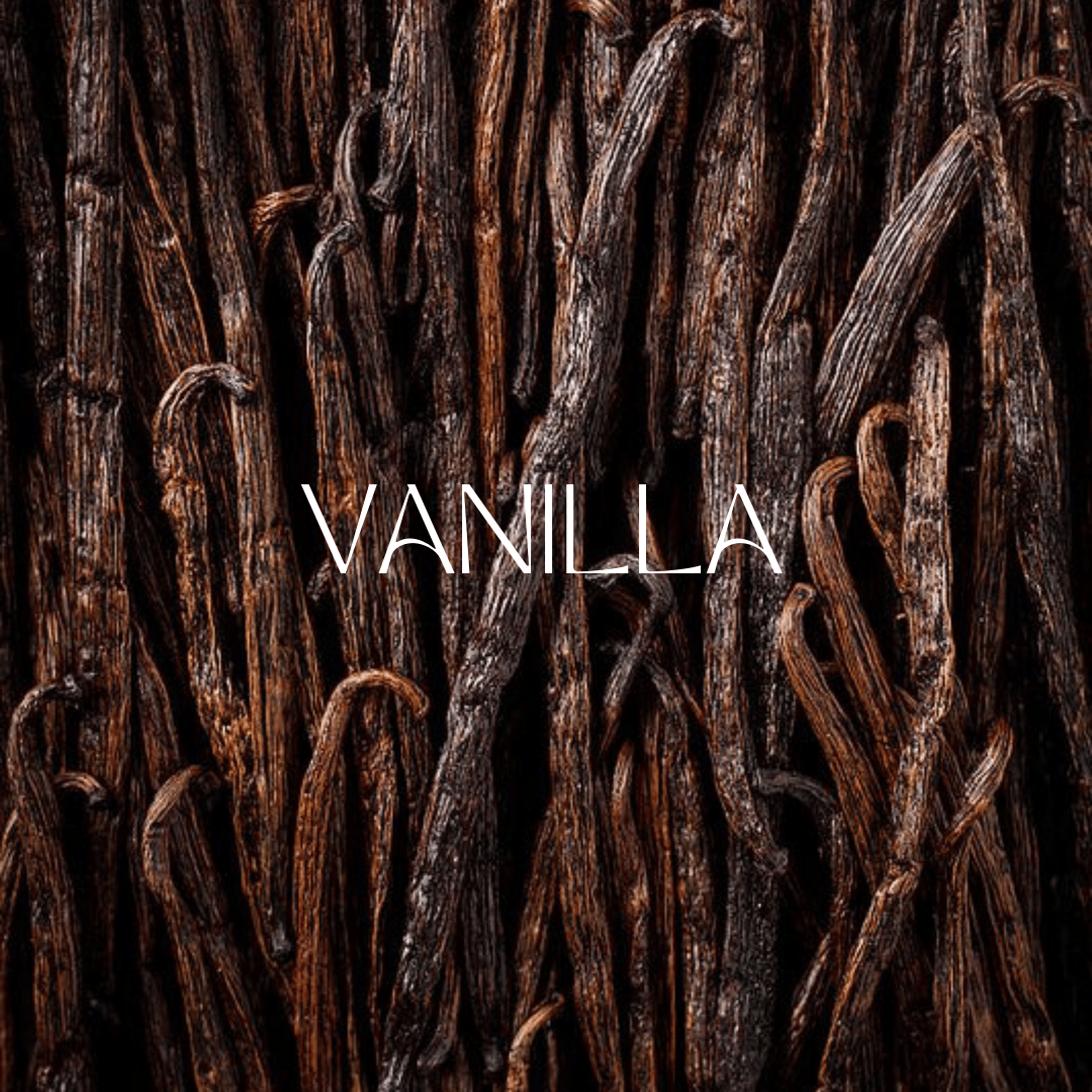 Close-up of natural vanilla beans used in perfumery, showcasing the rich texture and deep brown color of vanilla pods for fragrance creation.